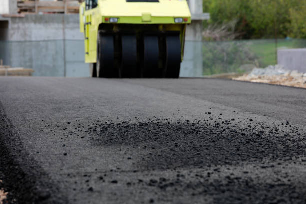 Best Local Driveway Pavers  in Columbia, SC